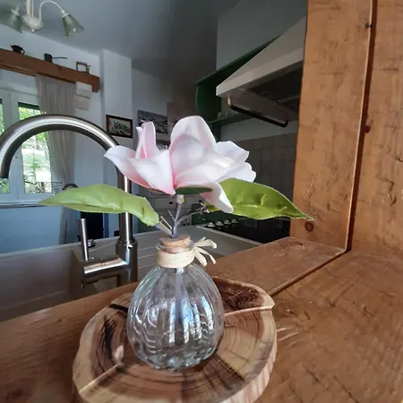 Villa Bunischa Selca